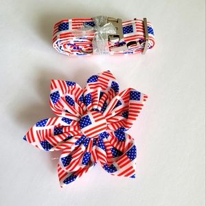 Dog Collar With Removable Flower American Flag Size Small